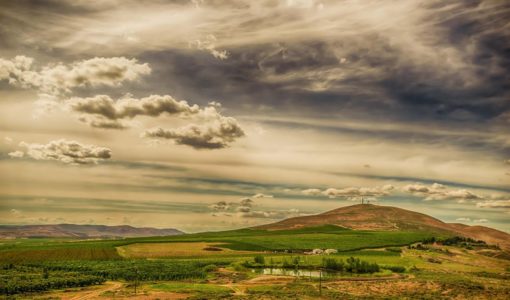 Badger Mountain - Near Red Mountain - Tri-Cities