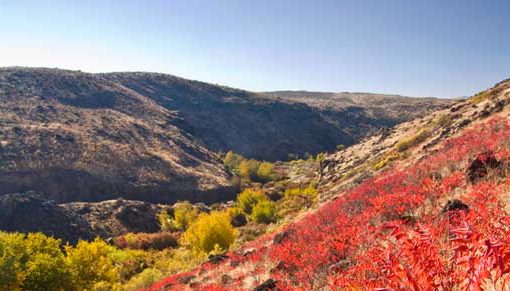 Cowiche Canyon Conservancy Trails