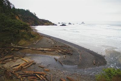 Clatsop Loop Hike