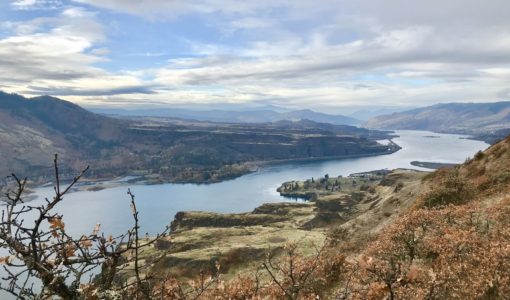 Lyle Cherry Orchard - Columbia Gorge